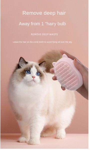 Cepillo con Laser Recargable